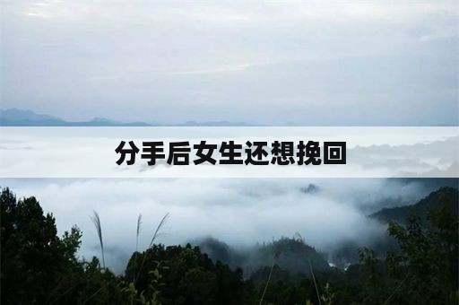 分手后女生还想挽回