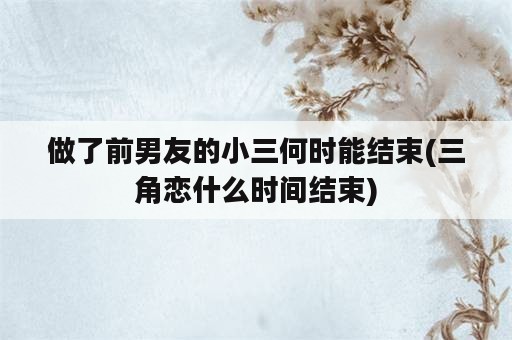 做了前男友的小三何时能结束(三角恋什么时间结束)