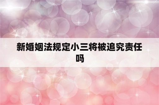 新婚姻法规定小三将被追究责任吗