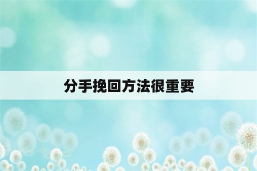 分手挽回方法很重要