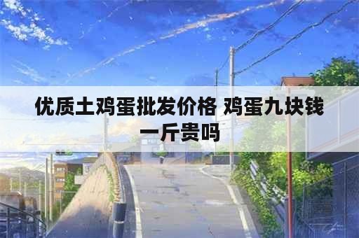 优质土鸡蛋批发价格 鸡蛋九块钱一斤贵吗