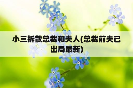 小三拆散总裁和夫人(总裁前夫已出局最新)