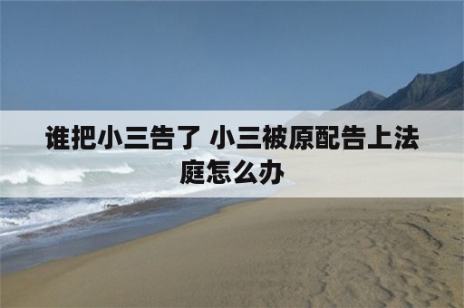 谁把小三告了 小三被原配告上法庭怎么办