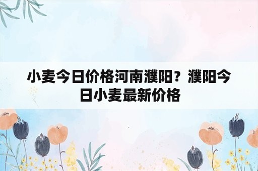 小麦今日价格河南濮阳？濮阳今日小麦最新价格