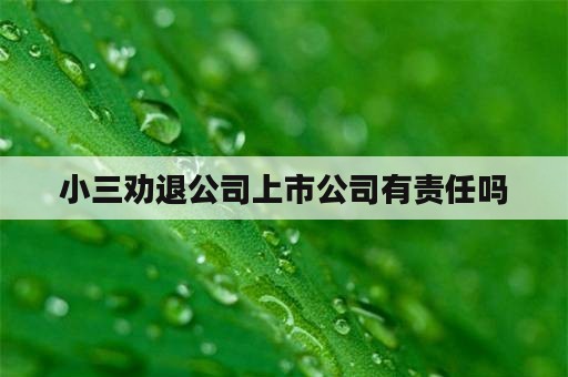 小三劝退公司上市公司有责任吗