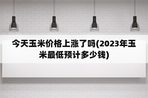 今天玉米价格上涨了吗(2023年玉米最低预计多少钱)