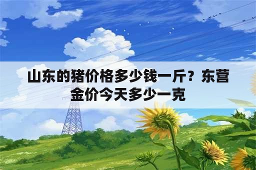 山东的猪价格多少钱一斤？东营金价今天多少一克