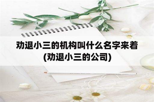 劝退小三的机构叫什么名字来着(劝退小三的公司)