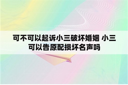 可不可以起诉小三破坏婚姻 小三可以告原配损坏名声吗