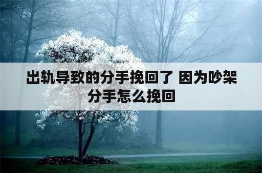 出轨导致的分手挽回了 因为吵架分手怎么挽回