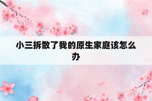 小三拆散了我的原生家庭该怎么办