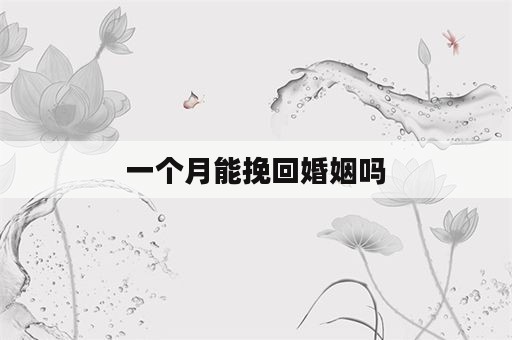 一个月能挽回婚姻吗