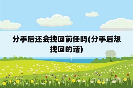 分手后还会挽回前任吗(分手后想挽回的话)