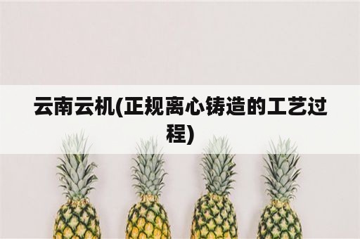 云南云机(正规离心铸造的工艺过程)