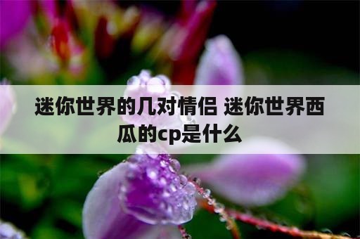 迷你世界的几对情侣 迷你世界西瓜的cp是什么