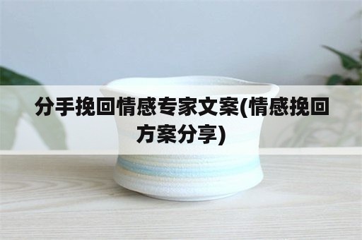 分手挽回情感专家文案(情感挽回方案分享)