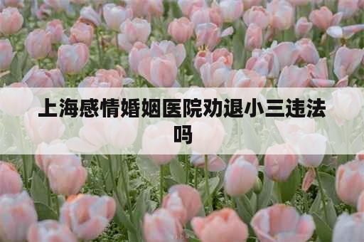 上海感情婚姻医院劝退小三违法吗