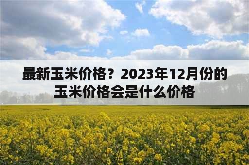 最新玉米价格？2023年12月份的玉米价格会是什么价格