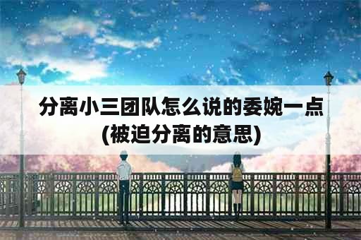 分离小三团队怎么说的委婉一点(被迫分离的意思)