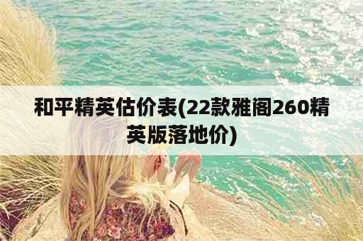 和平精英估价表(22款雅阁260精英版落地价)