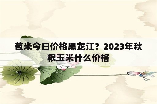 苞米今日价格黑龙江？2023年秋粮玉米什么价格