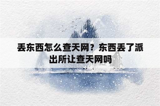 丢东西怎么查天网？东西丢了派出所让查天网吗