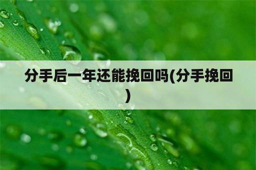 分手后一年还能挽回吗(分手挽回)