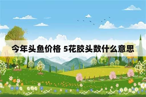 今年头鱼价格 5花胶头数什么意思