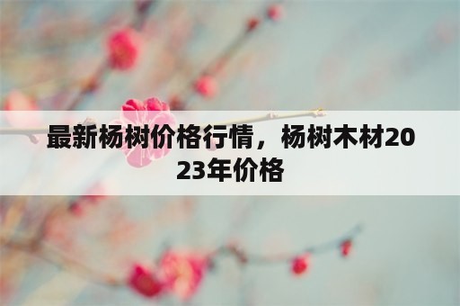 最新杨树价格行情，杨树木材2023年价格