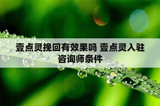 壹点灵挽回有效果吗 壹点灵入驻咨询师条件