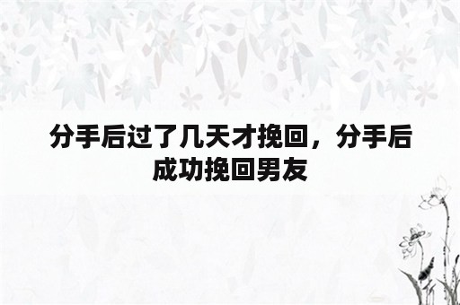 分手后过了几天才挽回，分手后成功挽回男友