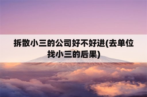 拆散小三的公司好不好进(去单位找小三的后果)