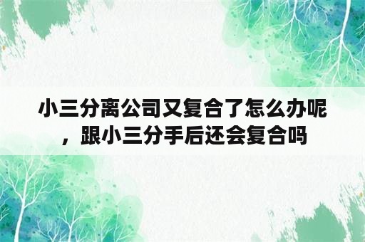 小三分离公司又复合了怎么办呢，跟小三分手后还会复合吗