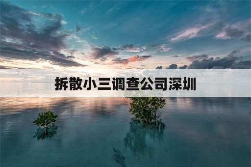 拆散小三调查公司深圳