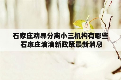 石家庄劝导分离小三机构有哪些 石家庄滴滴新政策最新消息