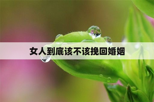 女人到底该不该挽回婚姻