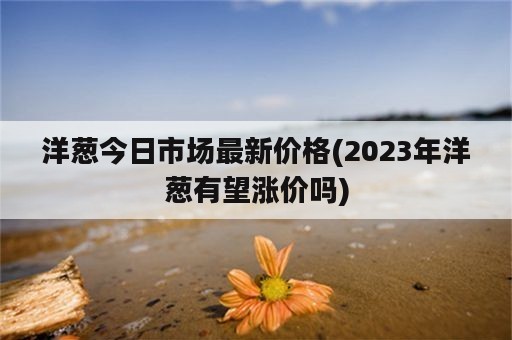 洋葱今日市场最新价格(2023年洋葱有望涨价吗)