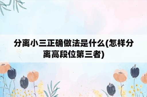 分离小三正确做法是什么(怎样分离高段位第三者)