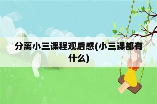 分离小三课程观后感(小三课都有什么)