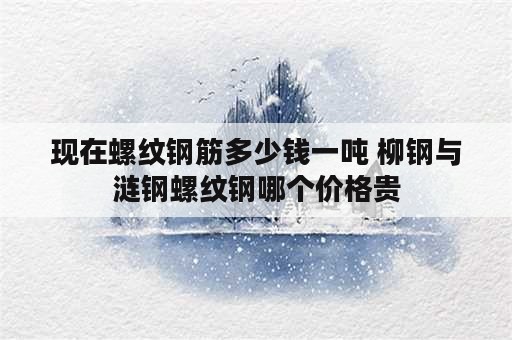 现在螺纹钢筋多少钱一吨 柳钢与涟钢螺纹钢哪个价格贵