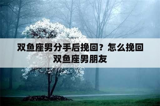 双鱼座男分手后挽回？怎么挽回双鱼座男朋友