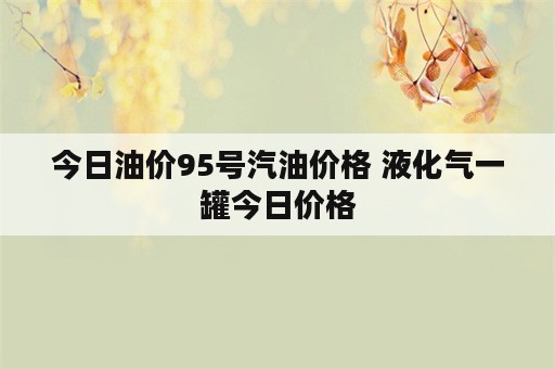 今日油价95号汽油价格 液化气一罐今日价格