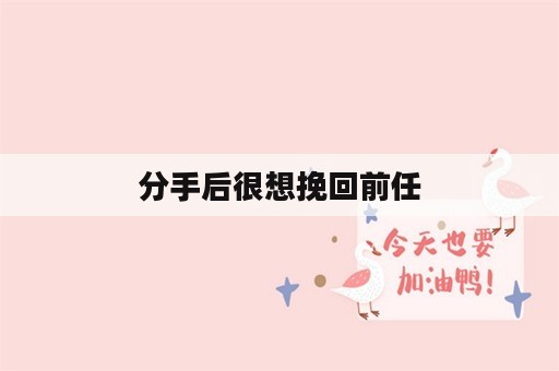 分手后很想挽回前任