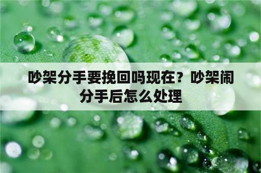 吵架分手要挽回吗现在？吵架闹分手后怎么处理