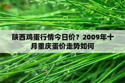 陕西鸡蛋行情今日价？2009年十月重庆蛋价走势如何