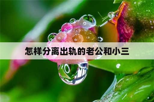 怎样分离出轨的老公和小三