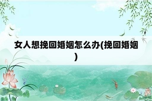 女人想挽回婚姻怎么办(挽回婚姻)