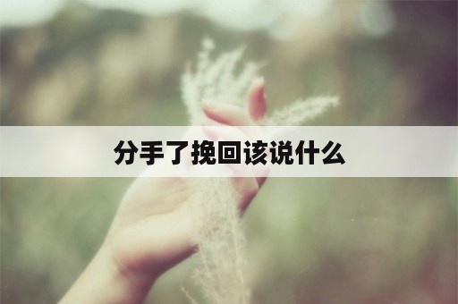 分手了挽回该说什么