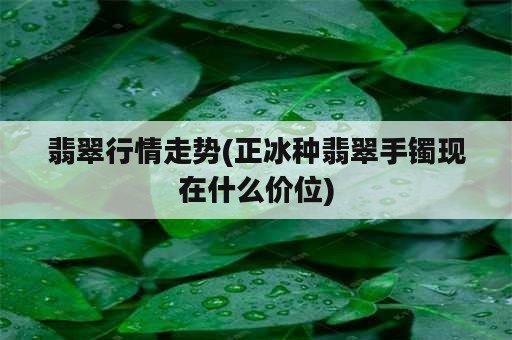 翡翠行情走势(正冰种翡翠手镯现在什么价位)