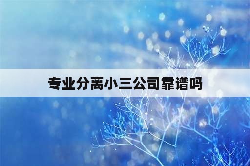 专业分离小三公司靠谱吗